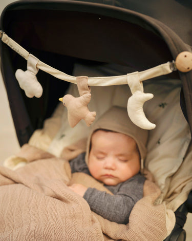Stroller Toy